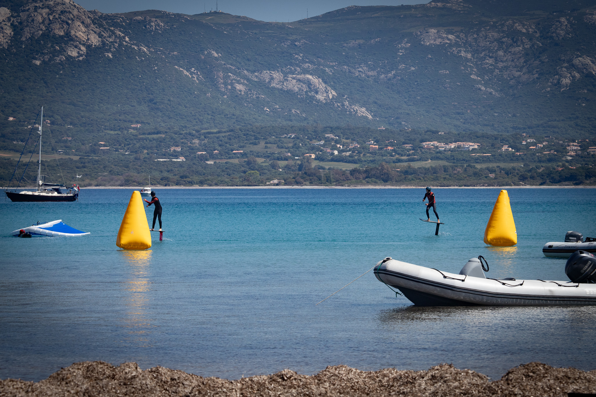 national calvi 2026