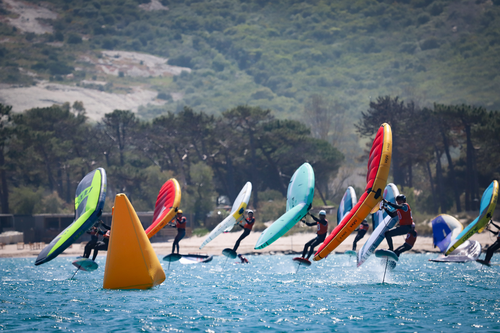 CALVI WINGFOIL 2026